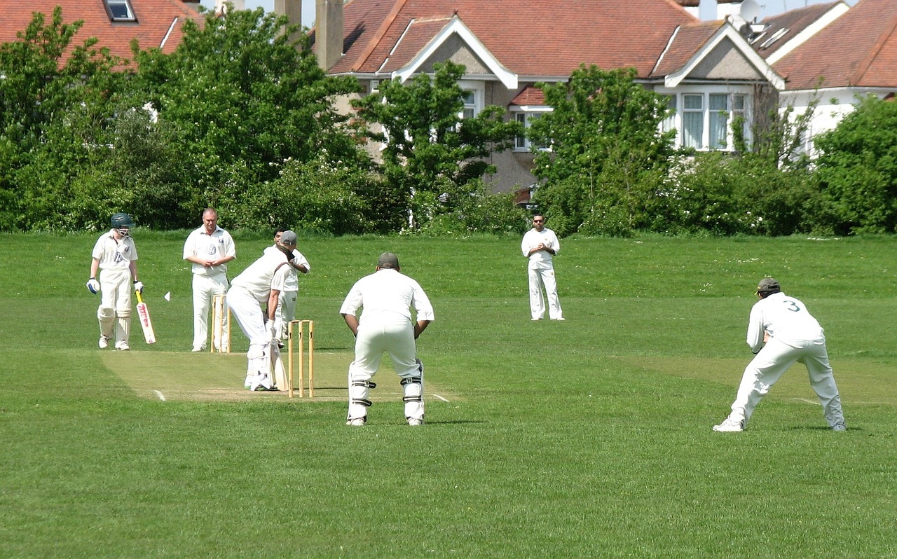 cricket-1033415_1280