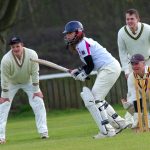 cricket-724615_1920