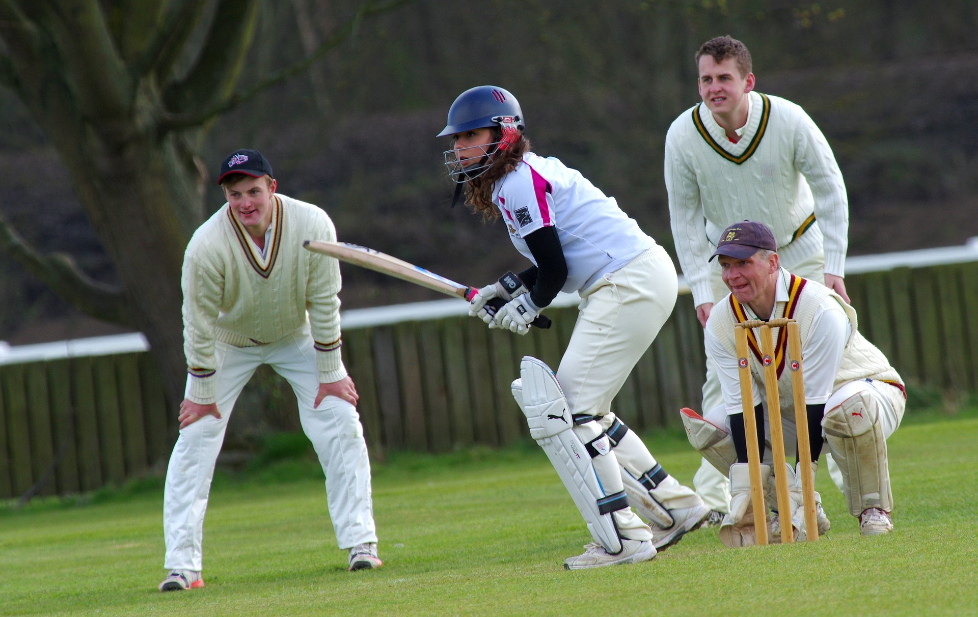 cricket-724615_1920